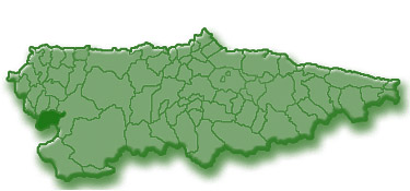 Mapa de Asturias se&ntilde;alando el municipio de Grandas de Salime